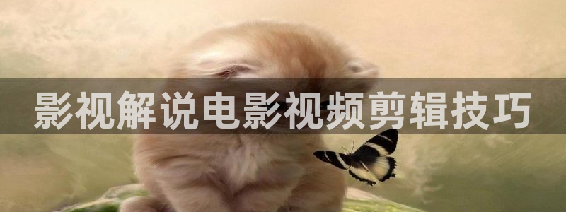 西瓜影院手机在线