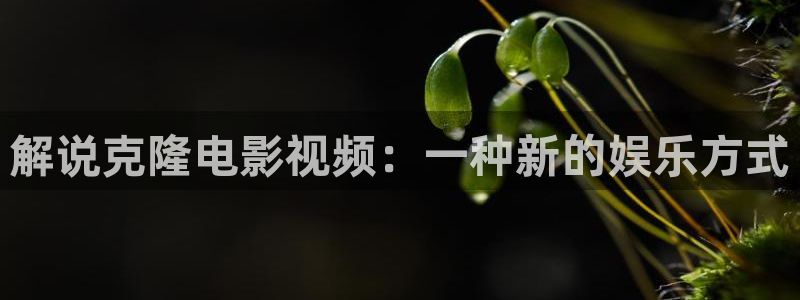 四川西瓜