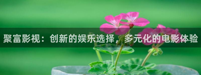 康熙王朝西瓜影院
