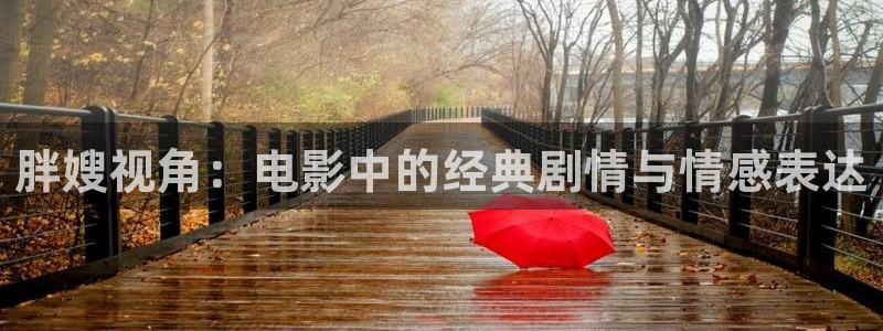 大西瓜电影
