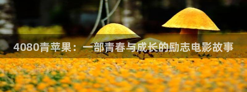 西瓜看电影