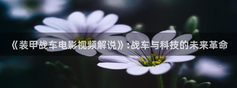 青苹果乐园免费观看西瓜