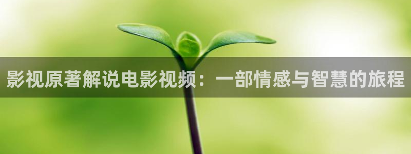 血染大青山全集免费观看西瓜