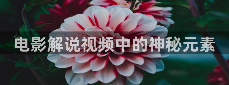 西瓜视频大全免费