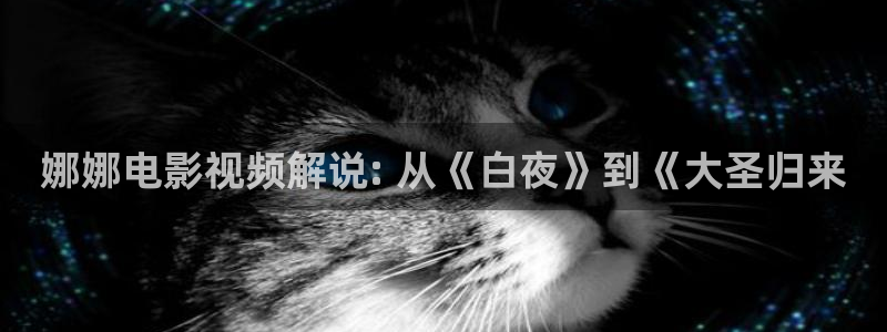 神马西瓜电影