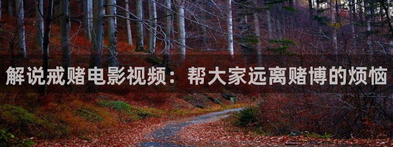 西瓜电影下载