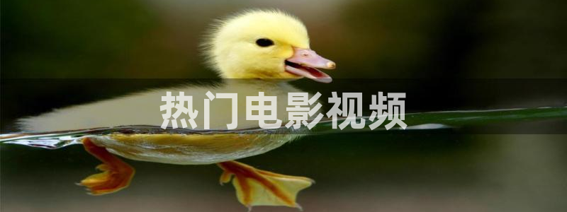 2012在线观看西瓜完整版免费